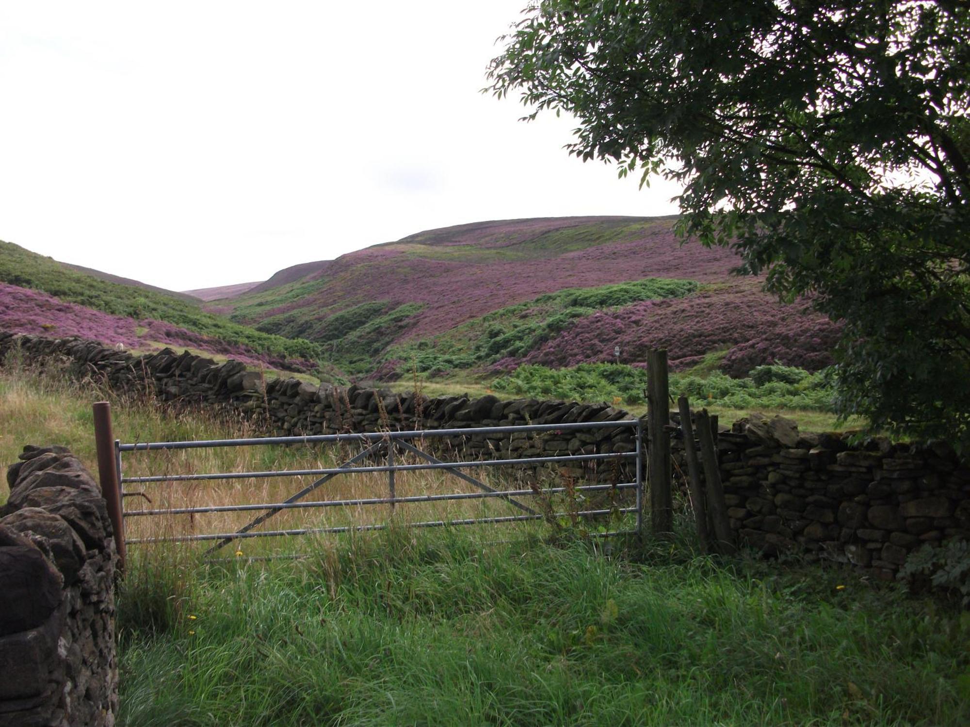 The Lantern Pike 3* Hayfield (Derbyshire)