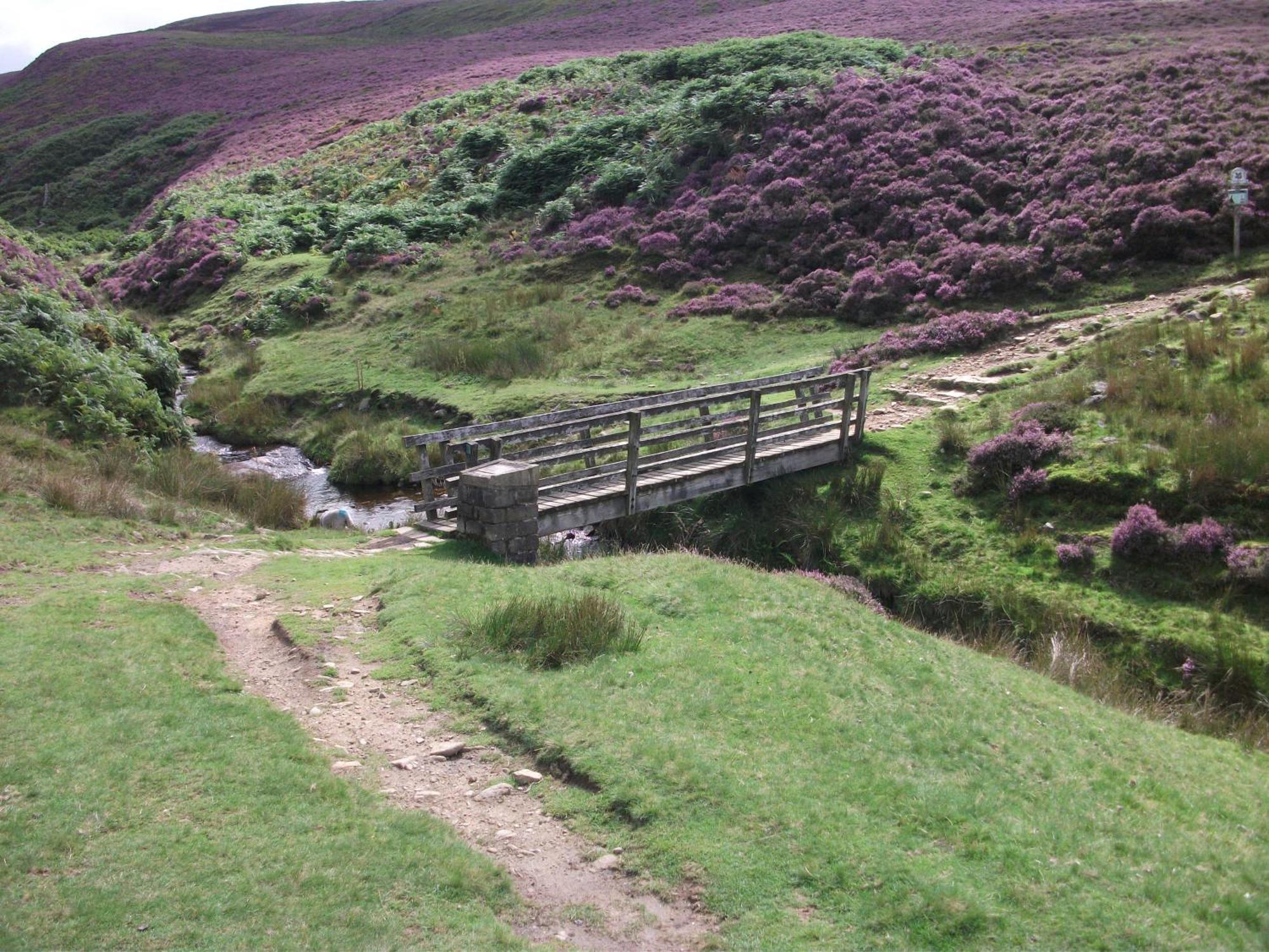The Lantern Pike Hotel